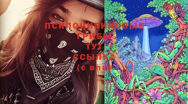 мет Абаза