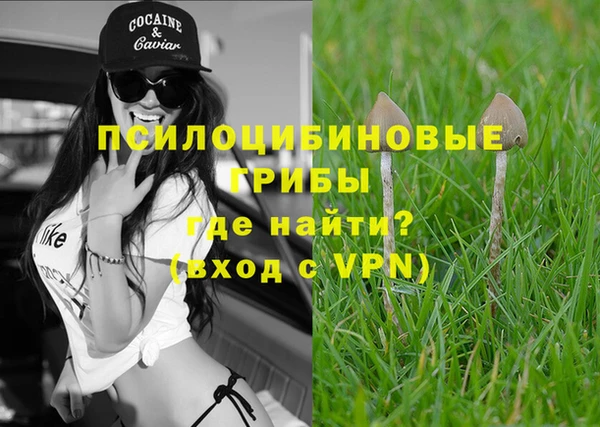 МДПВ Абинск