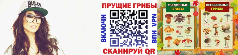 Галлюциногенные грибы Magic Shrooms Алатырь